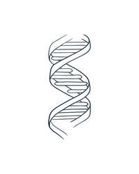 Biocompatible Formula